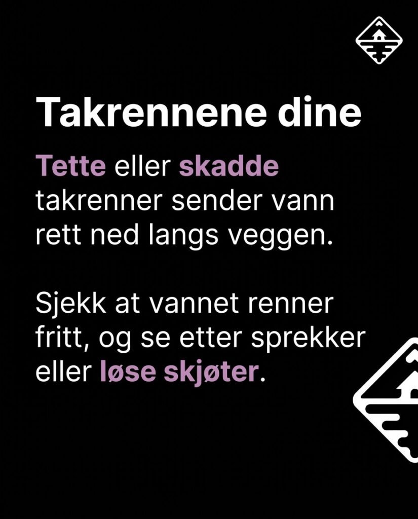 651820224_122246577302091266_6365388071951025143_n